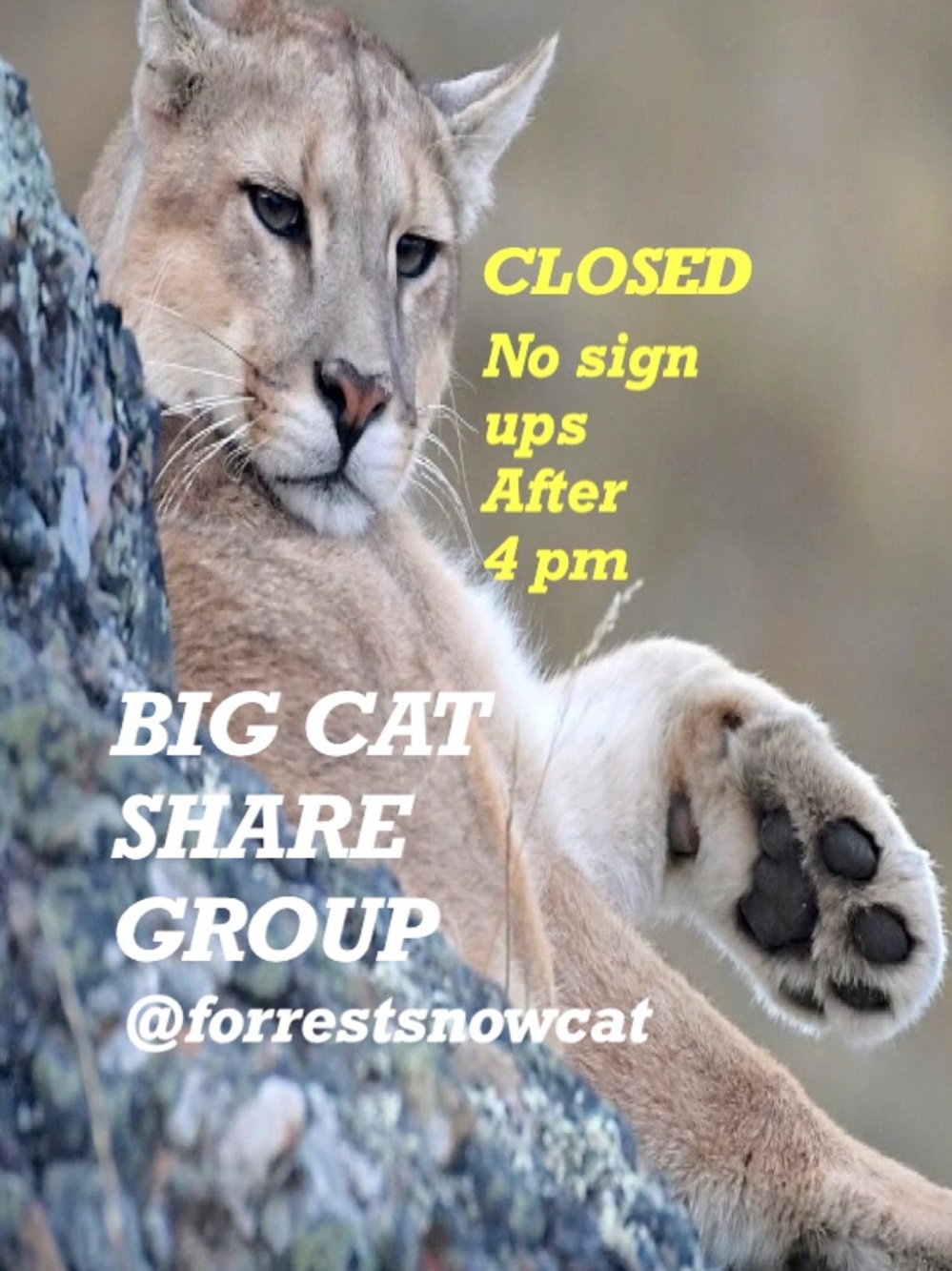 BIG CAT SHARE GROUP     TUESDAY 8/11   CLOSED